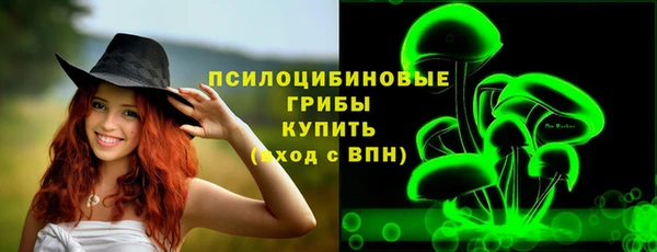 прущая мука Гусиноозёрск