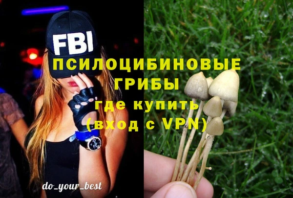 MESCALINE Гусев