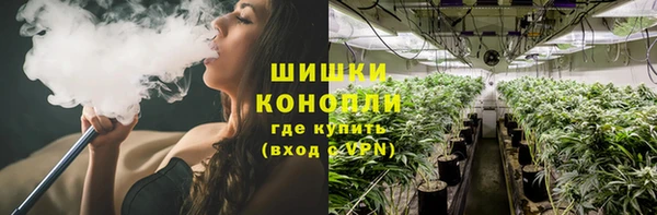 прущая мука Гусиноозёрск