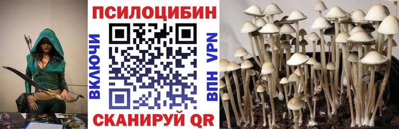Купить закладки  Алушта  Галлюциногенные грибы MAGIC MUSHROOMS 